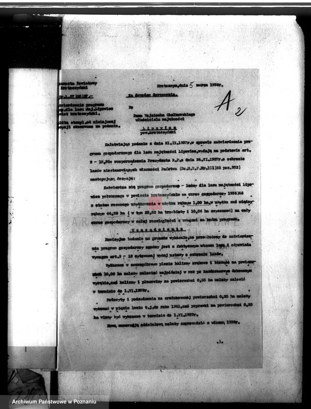 Obraz 6 z jednostki "Las majątku Lipowiec powiat krotoszyński"