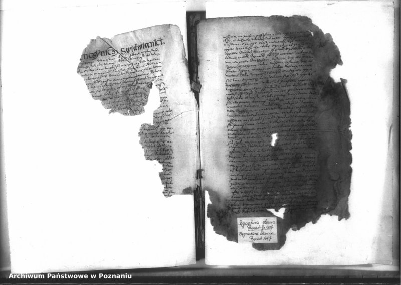 Obraz 5 z jednostki "Decreta officii [inducta]"