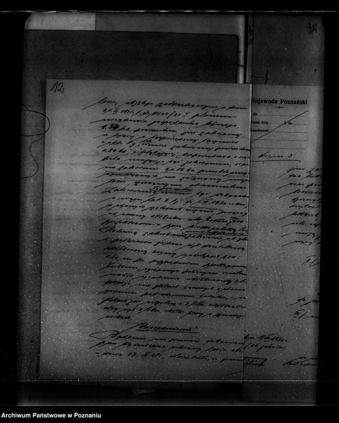 Obraz 17 z jednostki "Majętność leśna Czesławice powiat wągrowiecki własność Koerner"