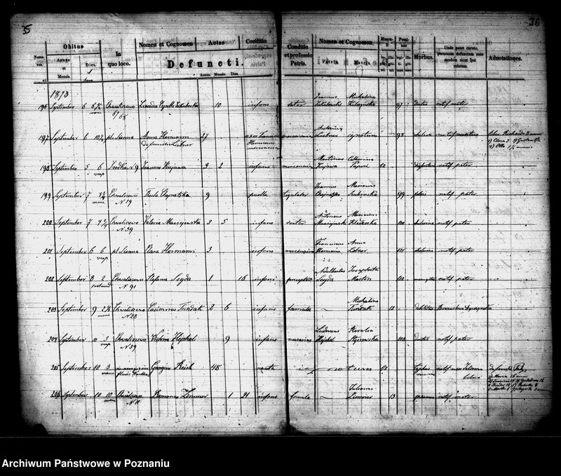 Obraz 19 z jednostki "Księga zgonów"