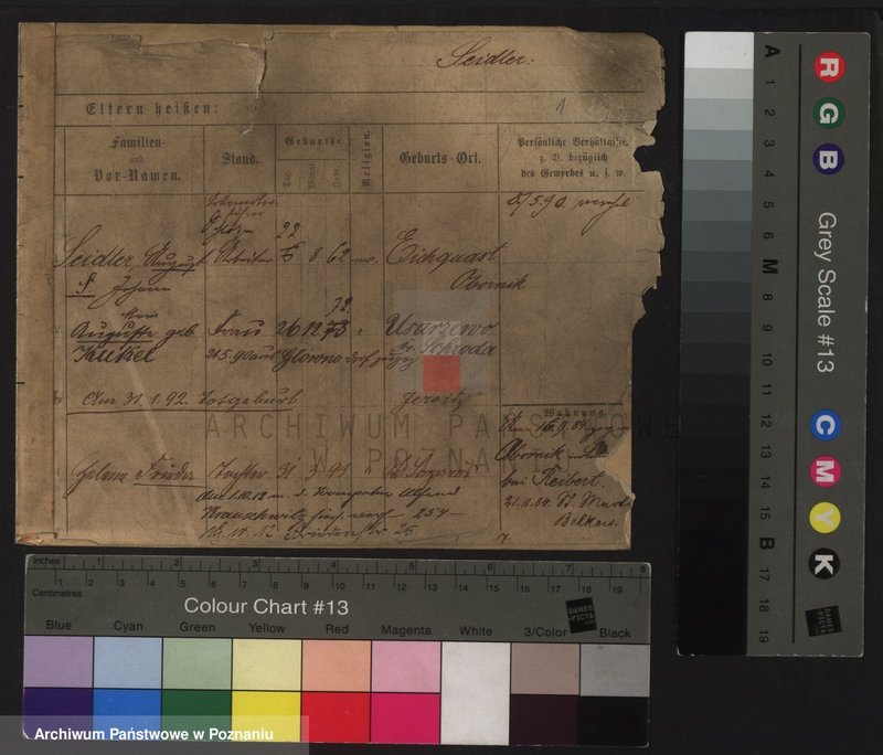 Obraz 5 z jednostki "Sajdler - Sajfrid (Się...)"