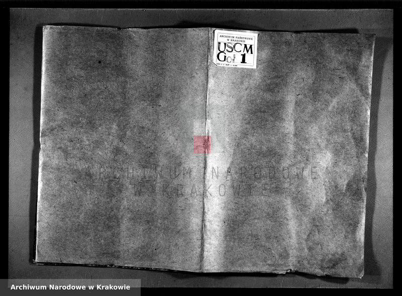 image.from.team "Akta stanu cywilnego Parafii Rzymskokatolickiej w Gołczy"