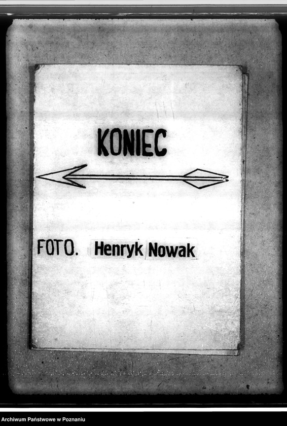 Obraz 19 z jednostki "Zalesienie nieużytków w powiecie jarocińskim"