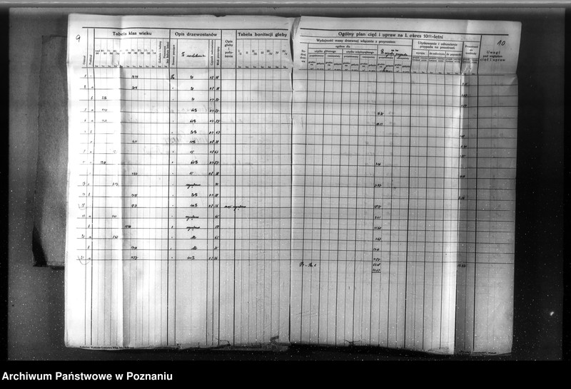 Obraz 10 z jednostki "Nadzór nad gospodarką w lasach majętności Nowy Dwór w powiecie nowotomyskim"