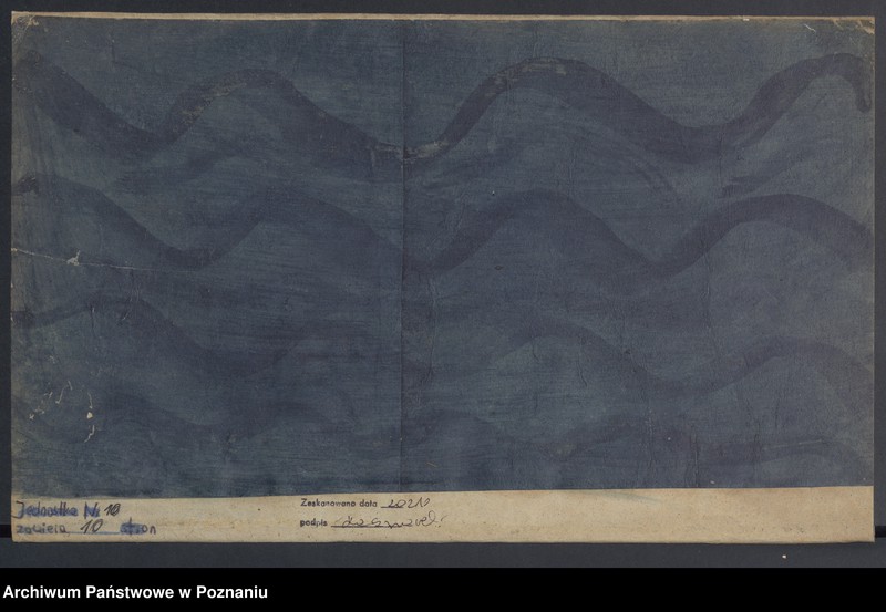 Obraz 9 z jednostki "Duplikat Natorum, Copulatorum, Mortuorum."