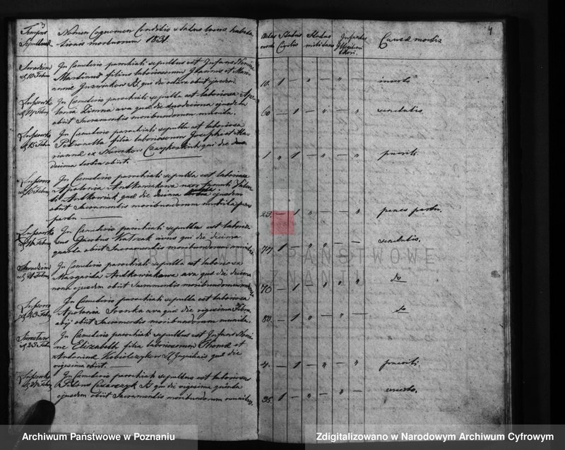 Obraz 5 z jednostki "Liber mortuorum"