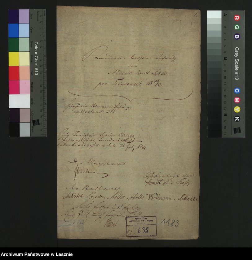 Obraz 3 z jednostki "[Kammereikassenrechnung der Mediatstadt Lissa]"