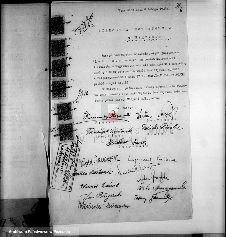 Obraz 10 z jednostki "Towarzystwo Hodowców Gołębi Pocztowych,,Lot Pocztowy" w Wągrowcu"