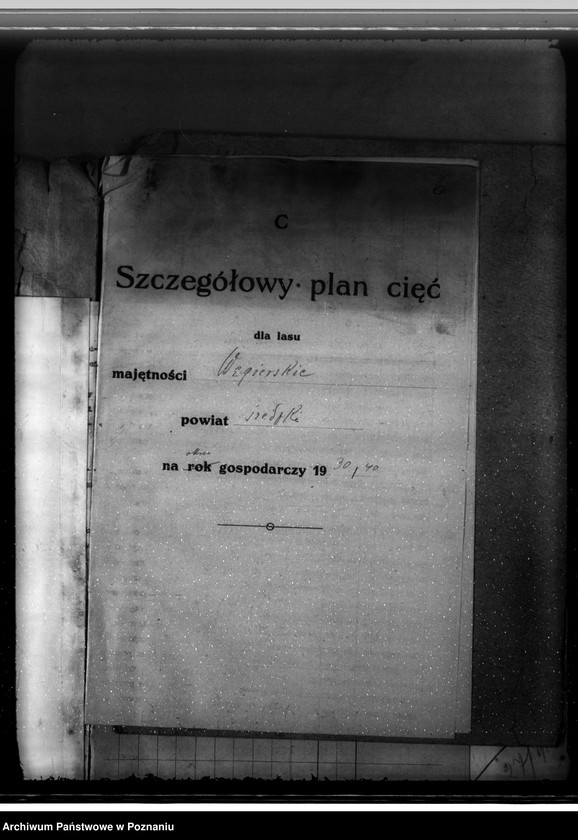 Obraz 10 z jednostki "Majętność leśna Węgierskie powiat średzki [opis lasu i plan cięć]"