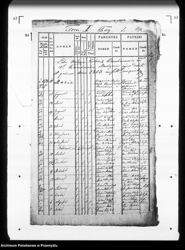 Obraz 5 z jednostki "[Kopie ksiąg metrykalnych parafii Kołodruby z filiami Lipice, Powerchów (dekanat Komarno)]"