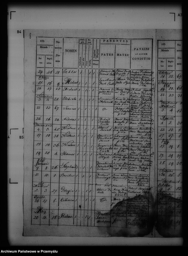 image.from.unit.number "[Kopie ksiąg metrykalnych parafii Pielnia z filiami Dudyńce, Pobiedno, Jędruszkowice, Markowice, Podgaj (dekanat Buków)]"