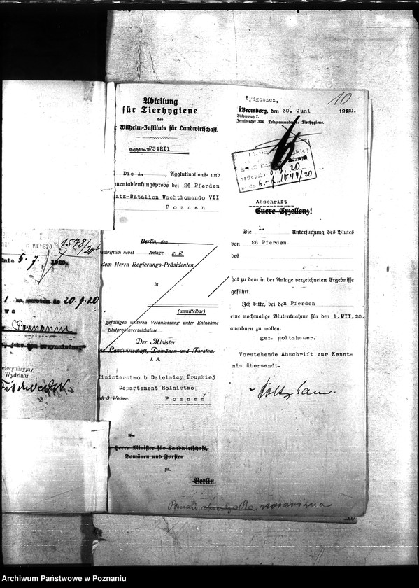 Obraz 14 z jednostki "Nosacizna - Poznań Miasto"