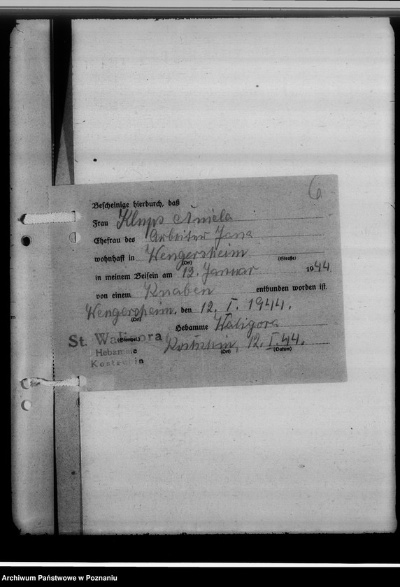 Obraz 10 z jednostki "Sammelakten zum Geburtenbuch [zgłoszenia urządzeń]"