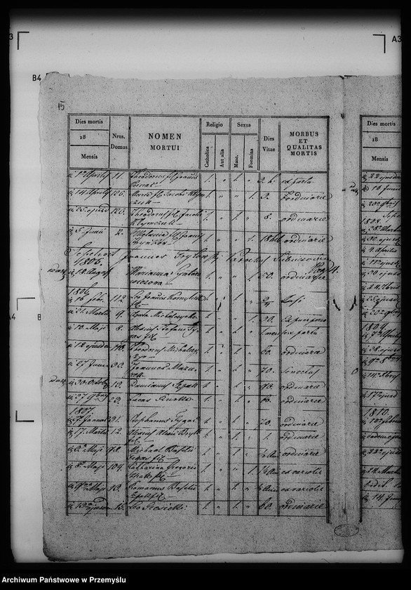 Obraz 19 z jednostki "[Kopie ksiąg metrykalnych parafii Siebieczów z filiami Leszczaków, Piwowszczyzna, Rusin, Wierzbiąż (dekanat Bełz)]"