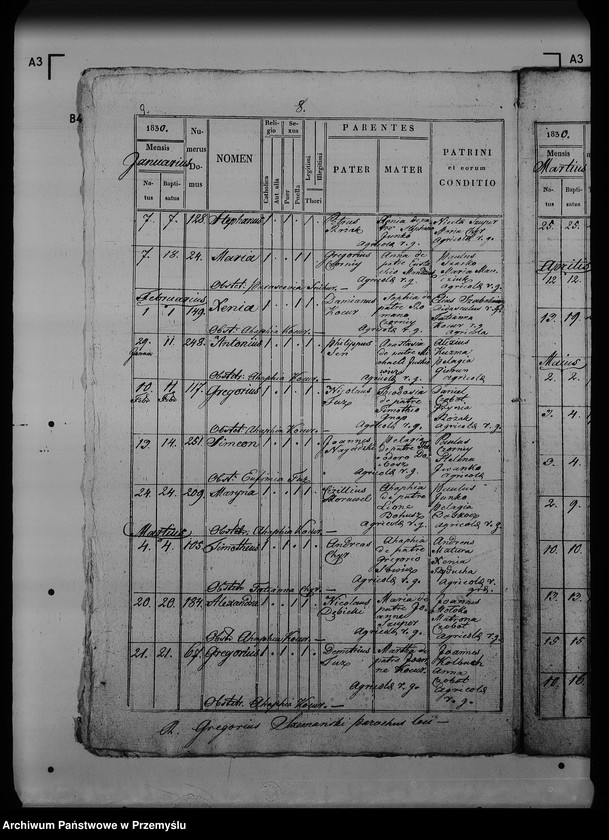 Obraz 13 z jednostki "[Kopie ksiąg metrykalnych parafii Dziewięcierz (dekanat Rawa Ruska)]"