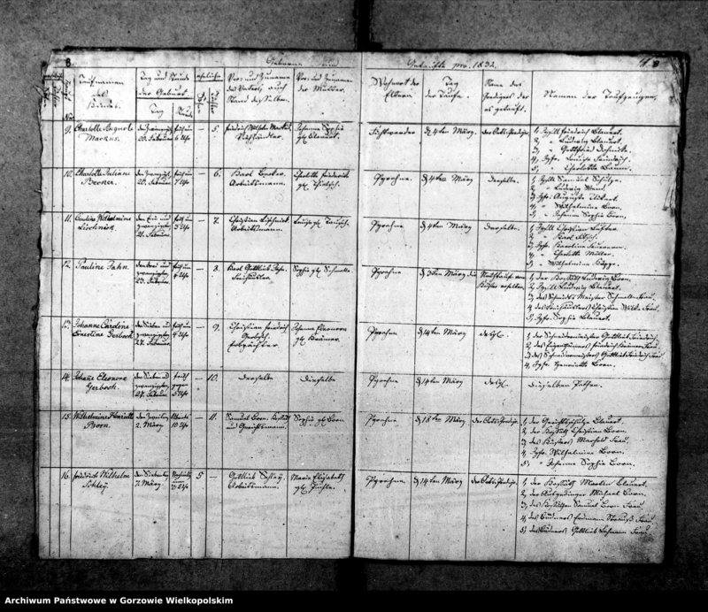 Obraz 9 z jednostki "Duplikate der Kirchenbücher von Pyrehne (Pyrzany): Pyrehne (Pyrzany), Woxholländer (Oksza), Logau (Łagów), Schützensorge (Kłopotowo), Pyrehner Holländer (Pyrzanki), Gross Rehne (Rań), Enterwerder (Kownatki), Stremeltswerder, Radewiesen (Zagajno), Ludwigshof (Okrąglica)."