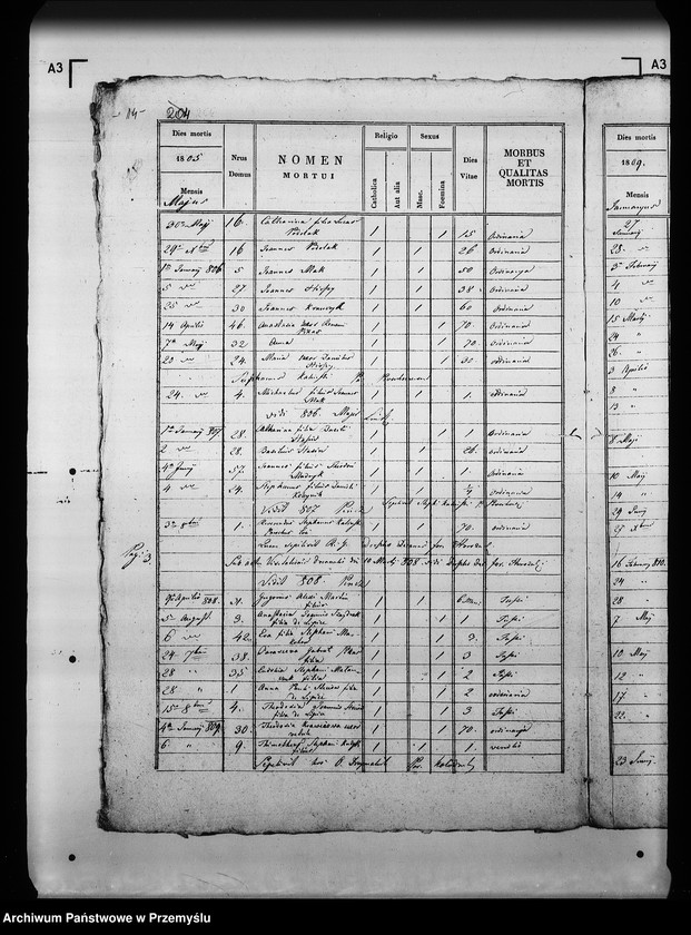 Obraz 18 z jednostki "[Kopie ksiąg metrykalnych parafii Kołodruby z filiami Lipice, Powerchów (dekanat Komarno)]"