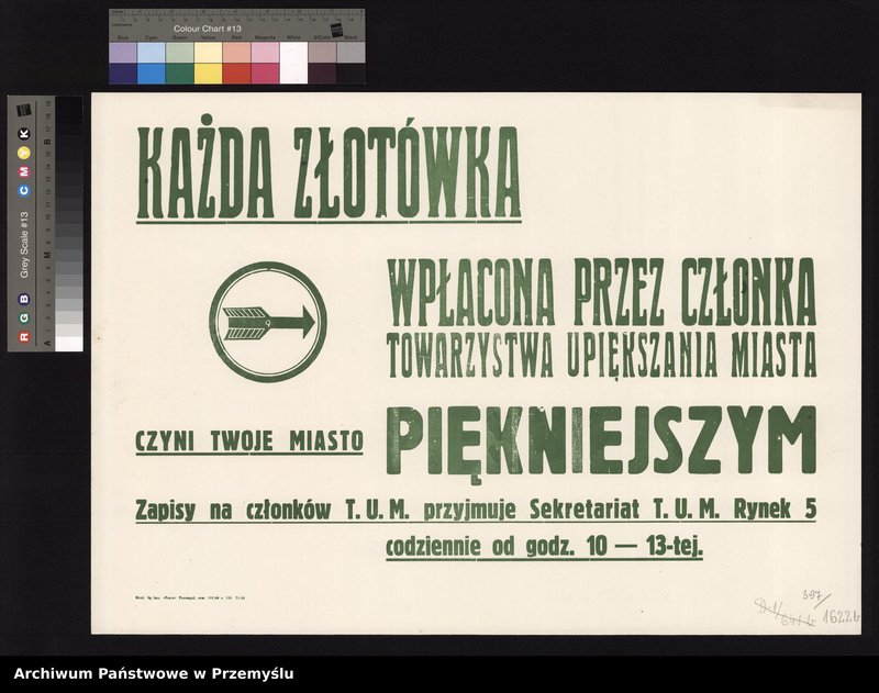 Obraz 3 z kolekcji "Towarzystwo Upiększania Miasta Przemyśla111"