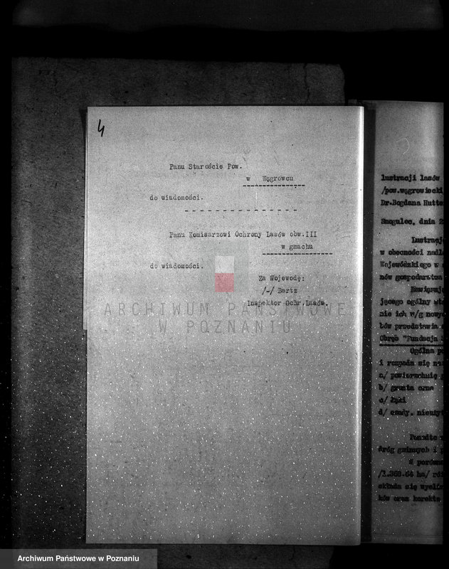 Obraz 8 z jednostki "Majętność /leśna/ Smogulecka Wieś powiat szubiński"