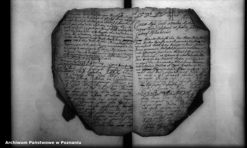 Obraz 7 z jednostki "Inscriptiones, resignationes [protocollon]"