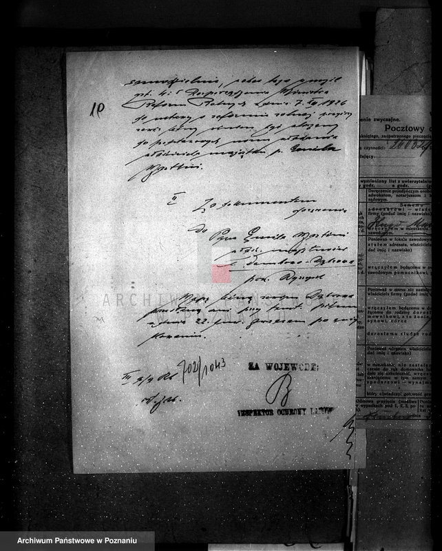 Obraz 14 z jednostki "Majętność leśna Dębowo powiat wyrzyski"