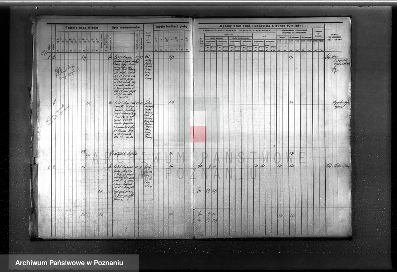 Obraz 20 z jednostki "Dodatkowy plan urządzenia gospodarstwa leśnego dla lasu majętności Grzuszyn powiat szamotulski 1937-1938"