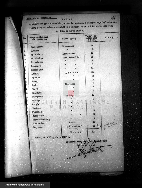 Obraz 15 z jednostki "Zalesienie nieużytków powiatu tureckiego"