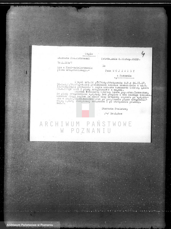 Obraz 7 z jednostki "Nadzór nad gospodarką w lasach L. Kanteckiego Kania powiat ostrowski"