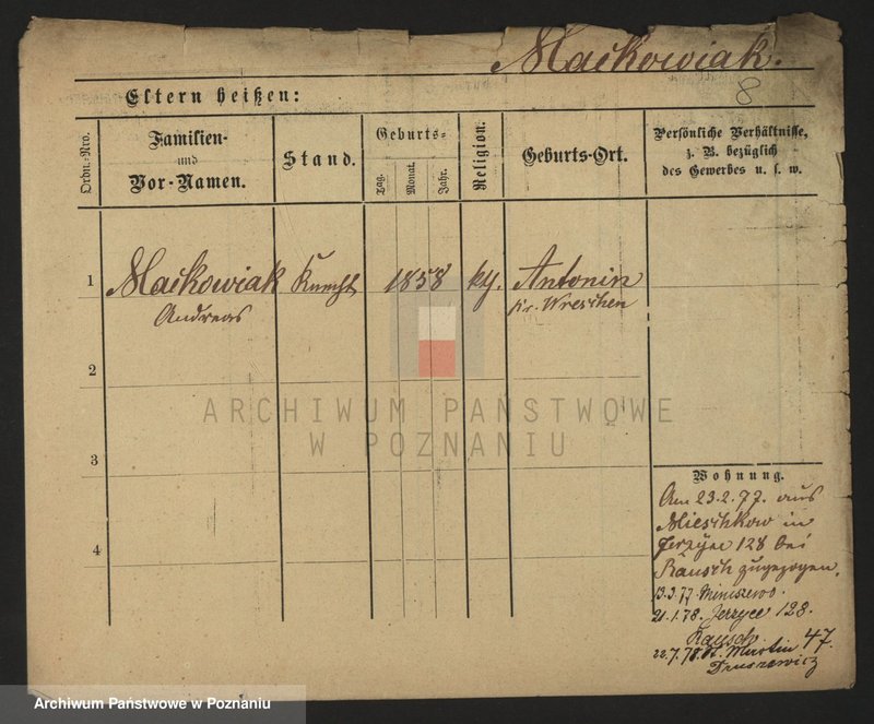 Obraz 10 z jednostki "Maćkowiak (samotni mężczyźni i kobiety)"