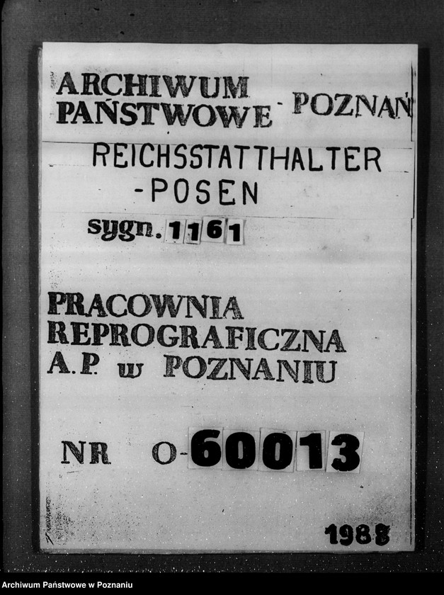 Obraz 1 z jednostki "Vorläufiger Abschlussbericht über die Probeerfassung der Polen im Warthegau"