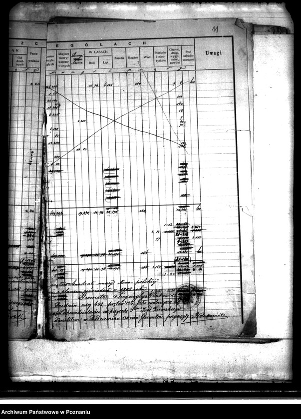 Obraz 15 z jednostki "/Rejestr pomiarowy dóbr Szczytniki powiat kaliski"