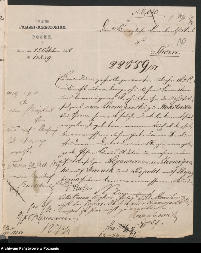 Obraz 13 z jednostki "A. betr. Josef Niemojewski, Gutsbesitzer"