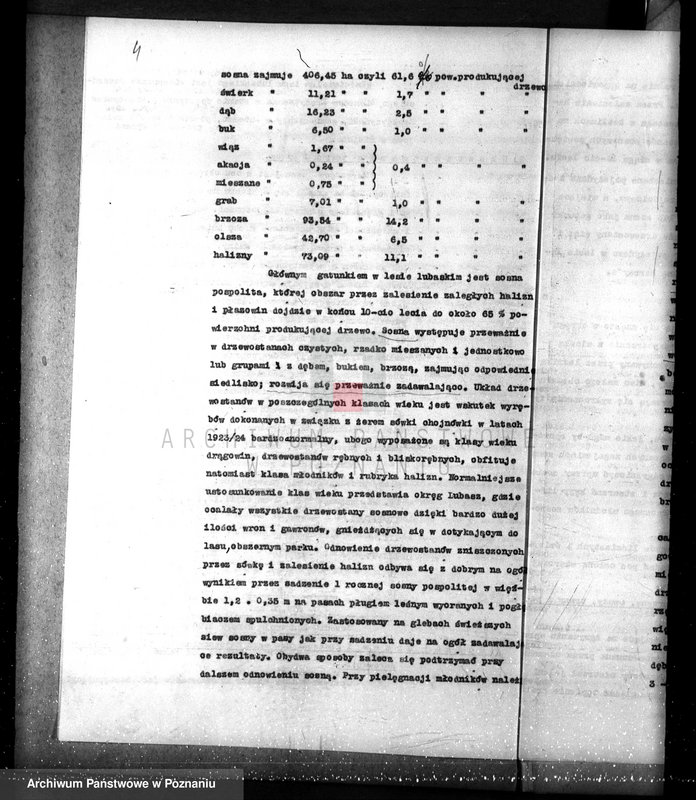 Obraz 8 z jednostki "Nadzór nad lasami/ majątku Lubasz powiatu czarnkowskiego"