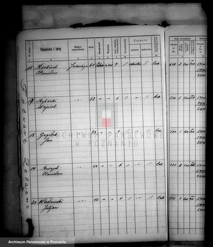 Obraz 16 z jednostki "Przewłaszczenie parcel z dóbr Samostrzel powiatu wyrzyskiego"