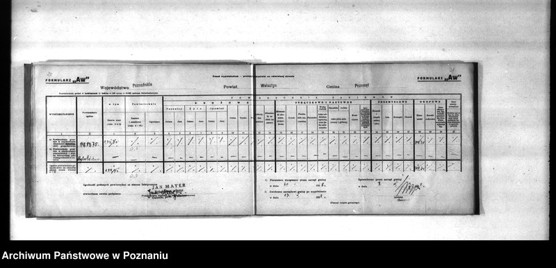 Obraz 14 z jednostki "Polnische Bodenbenutzugserhebung. Kreis Wollsbein (Wolsztyn)"