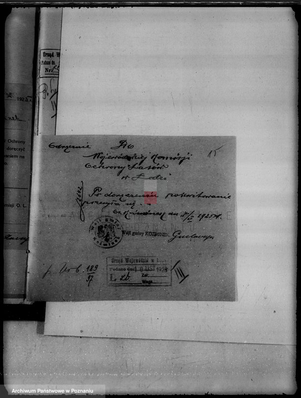 Obraz 19 z jednostki "Gmina Koźminek powiat kaliski /sprawy leśne/"