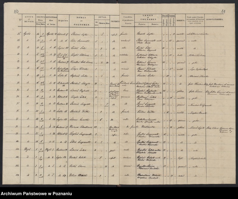 Obraz 8 z jednostki "Indeks zgonów"