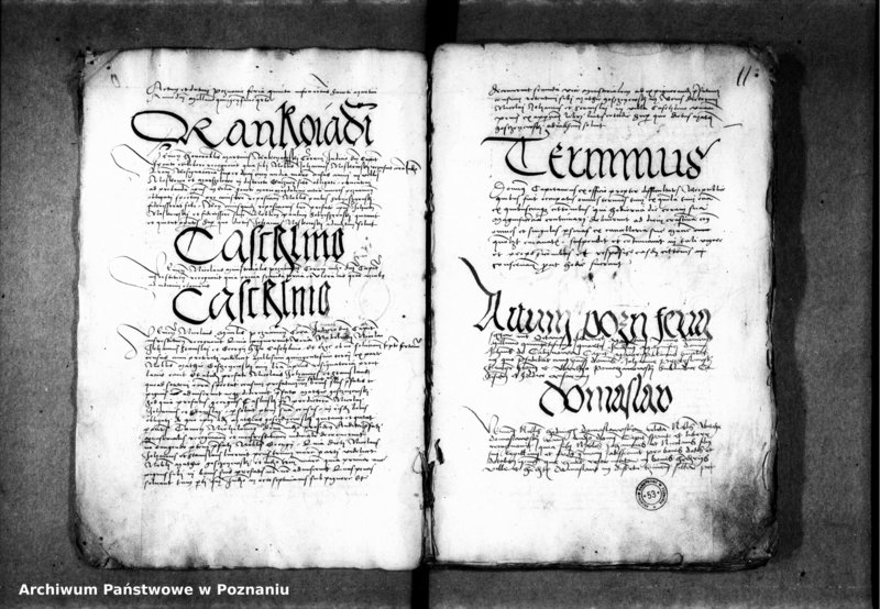 Obraz 16 z jednostki "Inscriptiones, relationes, decreta [inducta]"