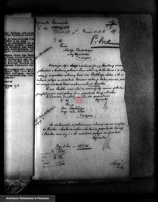 Obraz 16 z jednostki "Majętność leśna Pińsko powiat szubiński"