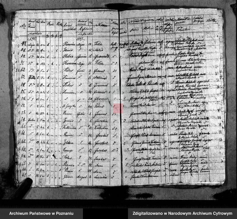 image.from.unit.number "Duplikat baptisatorum, copulatorum, mortuorum"