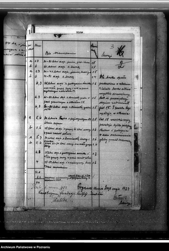 Obraz 7 z jednostki "Las fundacyjny Bodzewo w powiecie gostyńskim"