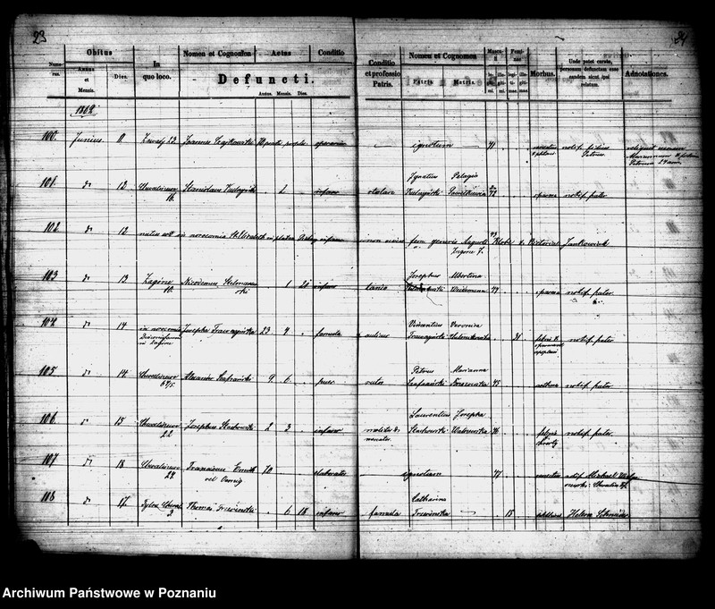 Obraz 13 z jednostki "Księga zgonów"