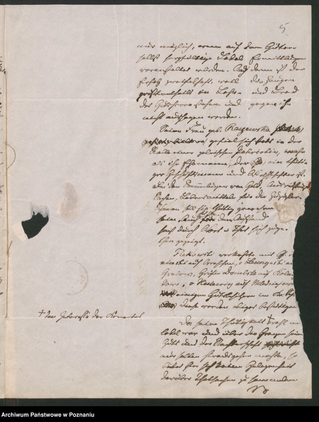 Obraz 8 z jednostki "A. betr. Napoleon und Kasimir von Rekowski"