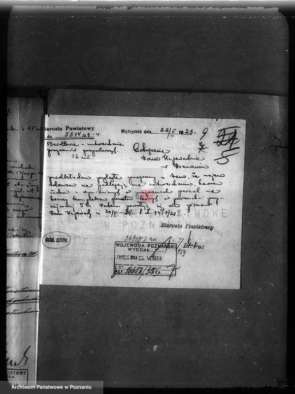 Obraz 13 z jednostki "Majętność leśna Niemierzewo w powiecie międzychodzkim"