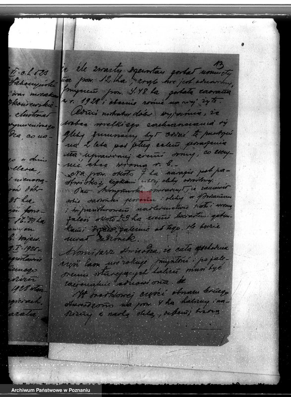 Obraz 17 z jednostki "Sprawa wyłączenia obszarów leśnych z majątku Bogusławice powiatu kolskiego"