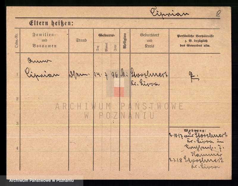 Obraz 10 z jednostki "Cypraniak - Czajka (żony i wdowy)"