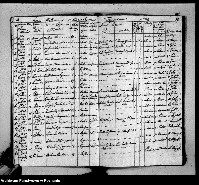 Obraz 11 z jednostki "Duplicat baptisatorum, copulatorum, mortuorum"