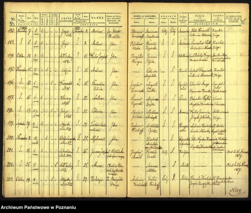 Obraz 20 z jednostki "Księga urodzin"