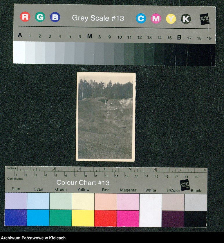 Obraz z jednostki "Widok lasu "