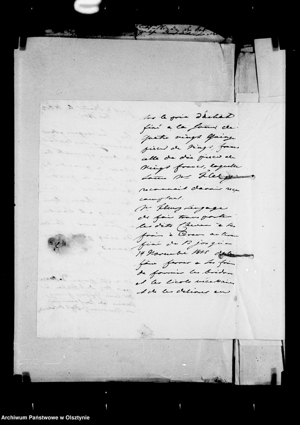 image.from.unit.number "/Hippologisches II. Korrespondenz betr. Pferde/"